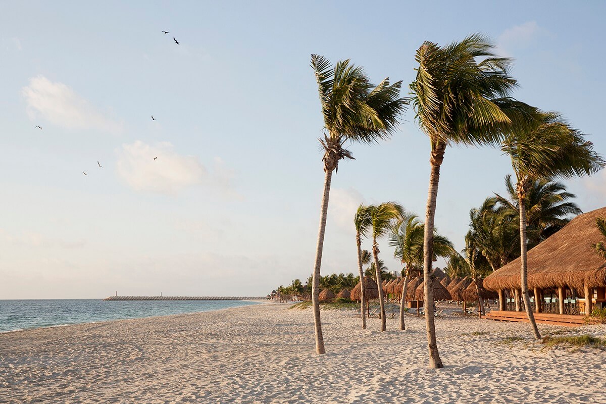 white sandy beach with palm trees in playa mujeres