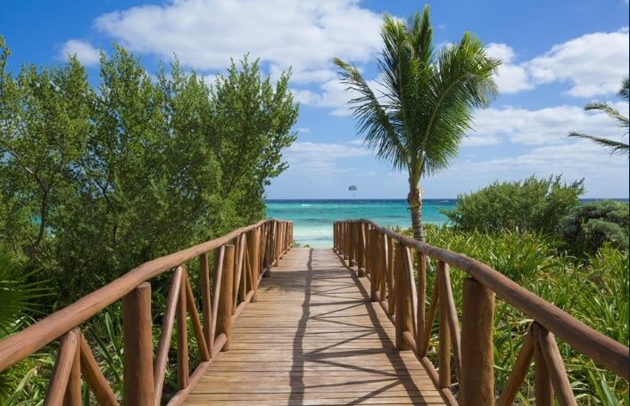 wooden walkway surrounded by vegetation leading down to a beach with turquoise water
