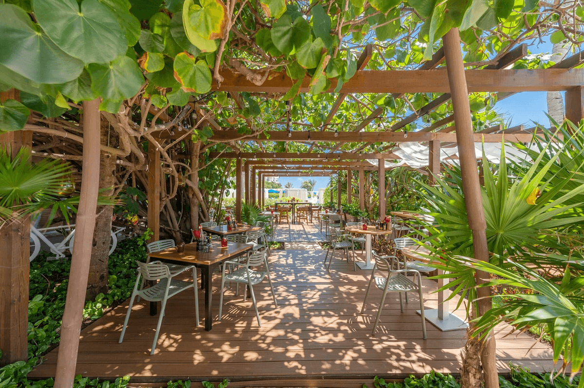 Outdoor restaurant surrounded by jungle