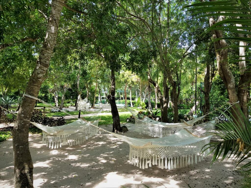 Hammock garden in the middle of the jungle
