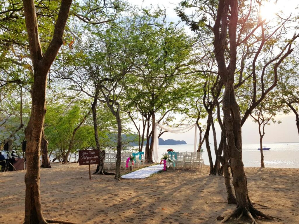 Wedding ceremony set up in front of a beach, surrounded by big trees