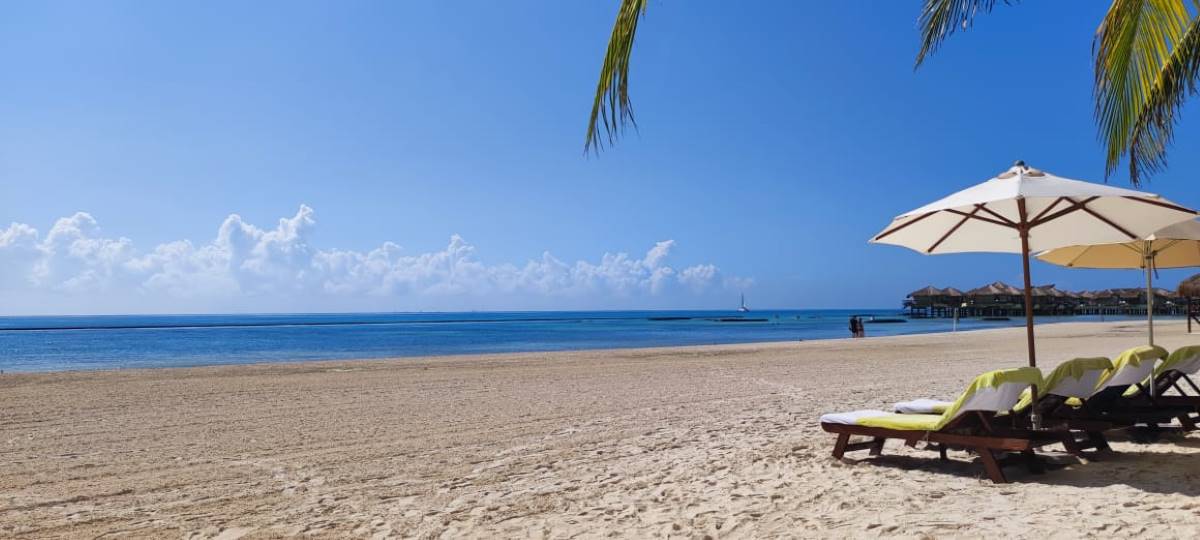 Caribbean beach with lounge chairs and umbrellas