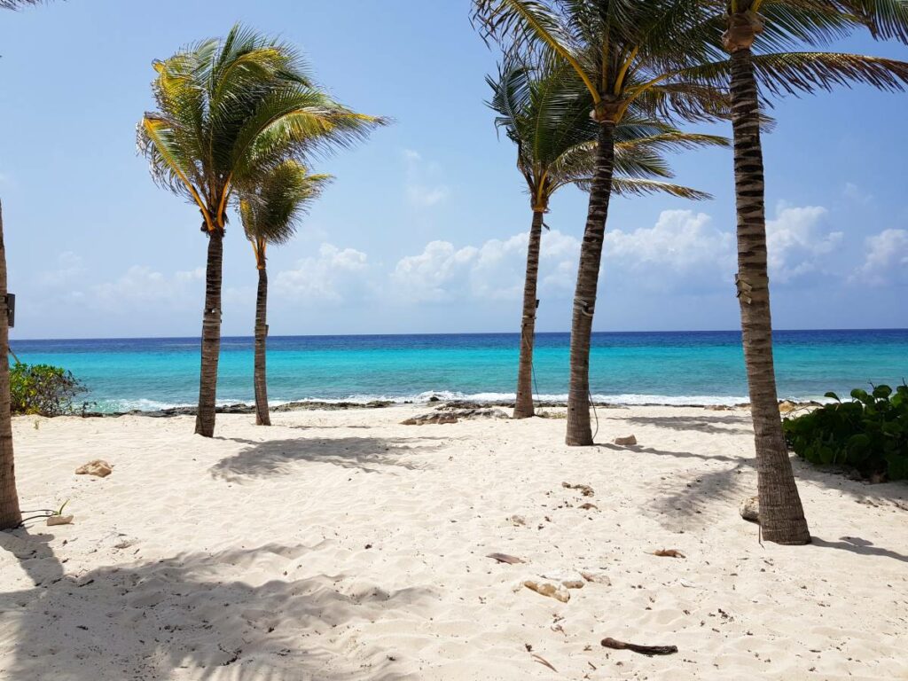 Pristine, untouched beach with palmtrees in Xcaret