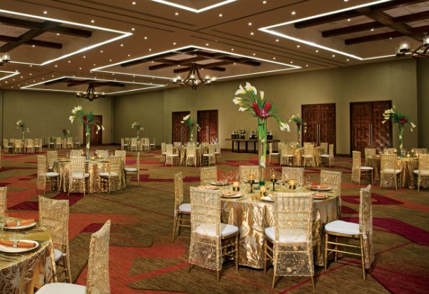 wedding ballroom set up with gold chairs and high floral arrangements with calatheas