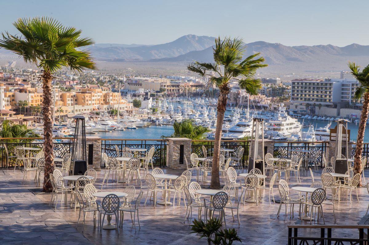 restaurant terrace with palm trees and view of the marina with boats and yatchs