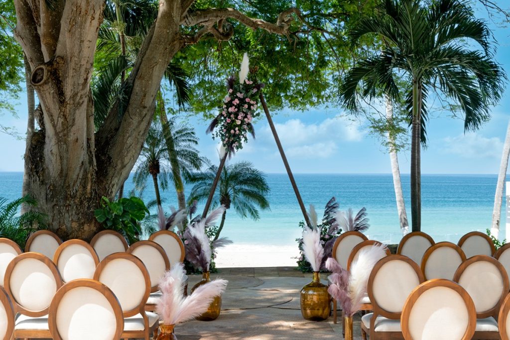 wedding with wooden chairs under a tree near the beach