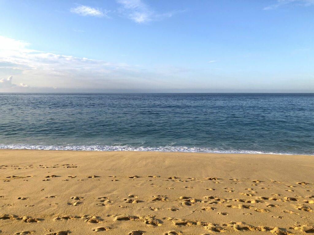 Beach at Sandos Finisterra Cabo San Lucas