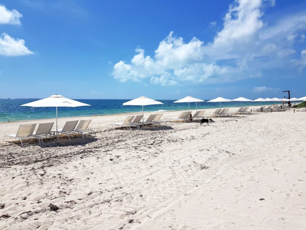 a nice beach with lounge chairs and umbrellas in costa mujeres