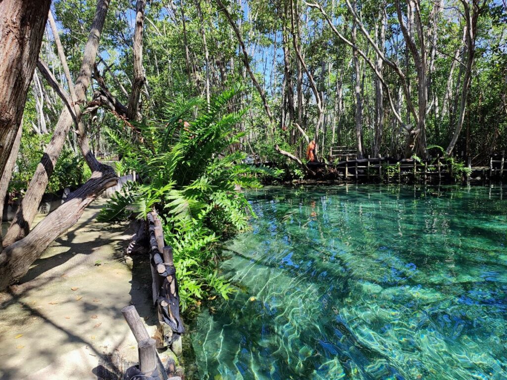 Open cenotes in the riviera maya are wonderful destination wedding ideas