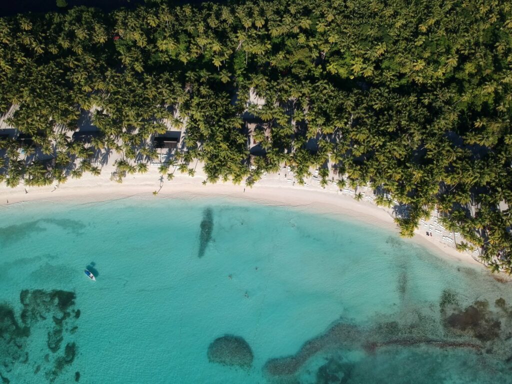 Aerial view of a Punta Cana beach with clear waters and lots of palm trees